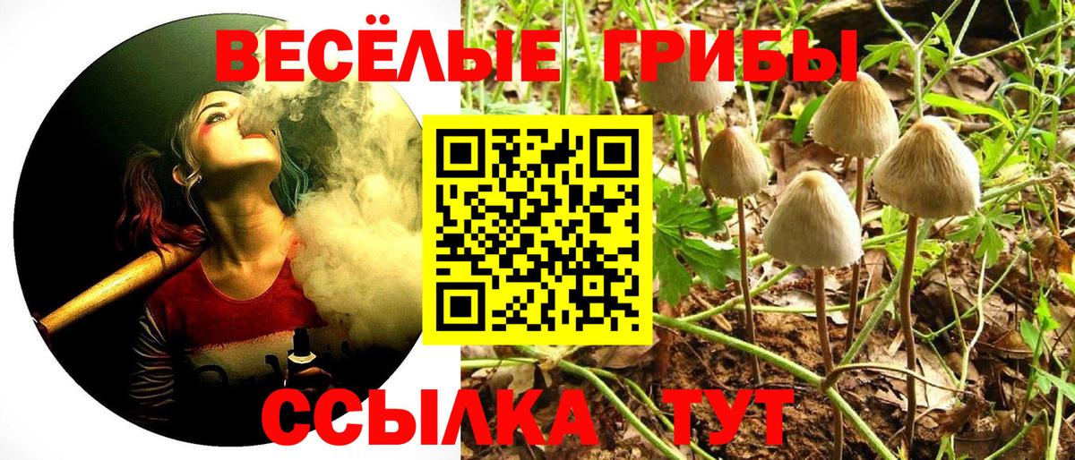 Уссурийск  Псилоцибиновые грибы ЛСД  Псилоцибиновые грибы Magic Shrooms  Вход с VPN 